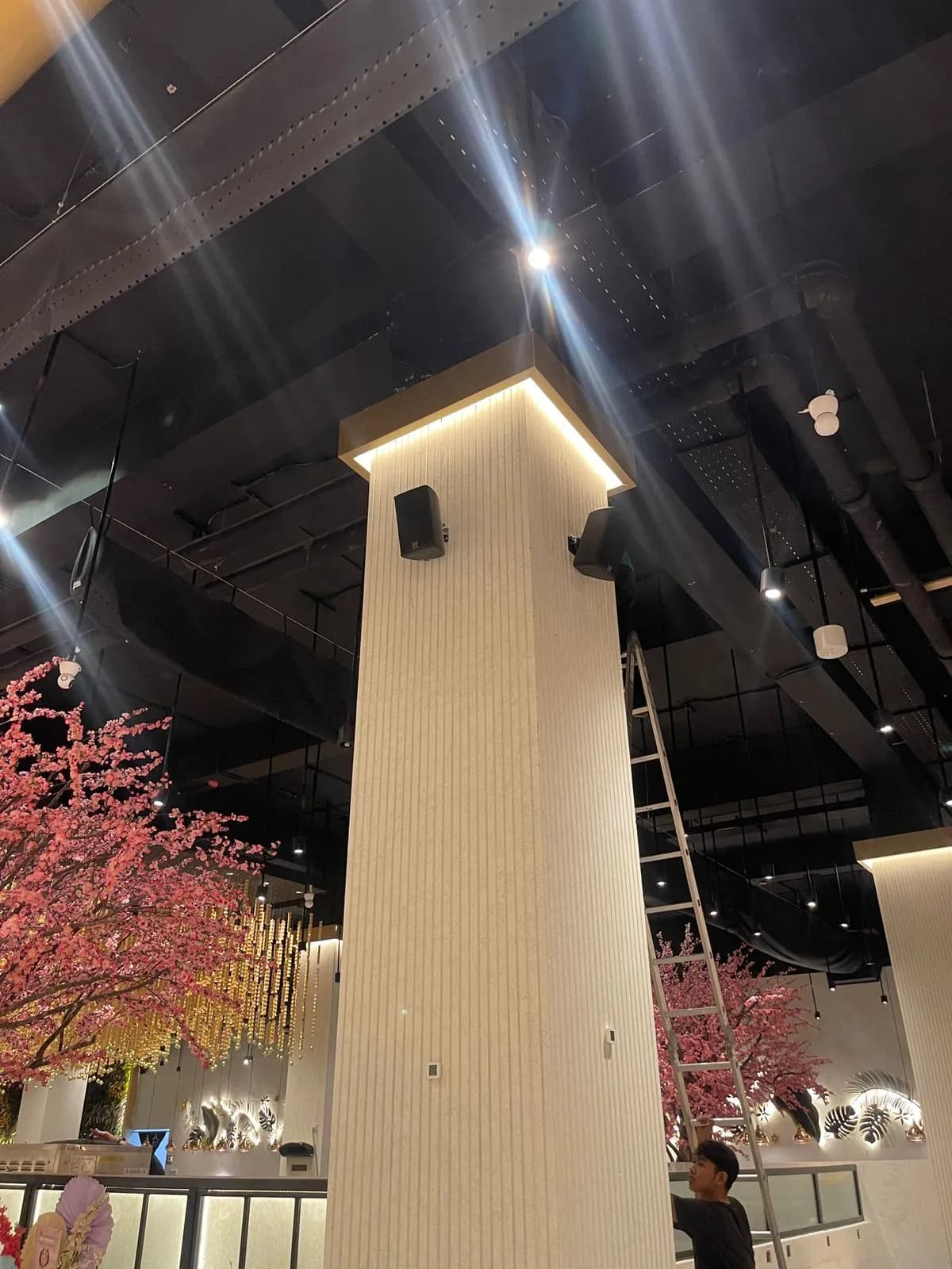 Minimalist Architectural Audio Solutions